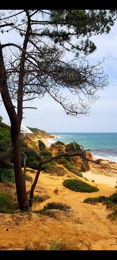 Albufeirasun, Arrive As A Guest Leave As A Friend. Apartamento Exterior foto